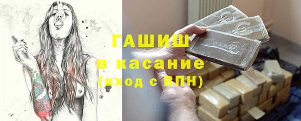 молекула духа Богданович