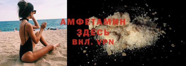 молекула духа Богданович