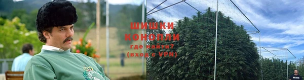 молекула духа Богданович