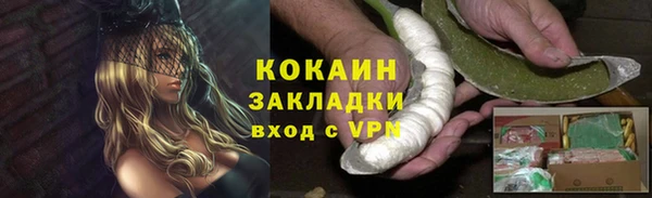 молекула духа Богданович