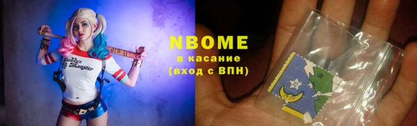 молекула духа Богданович