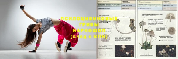 прущие крисы Богородицк