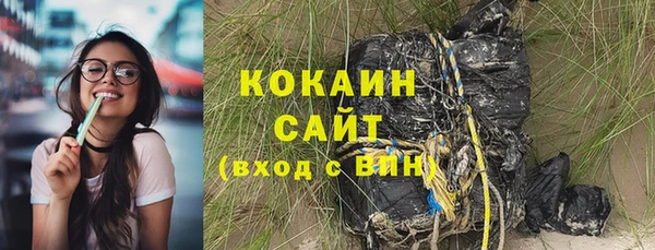 молекула духа Богданович