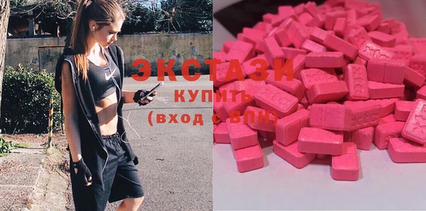 молекула духа Богданович