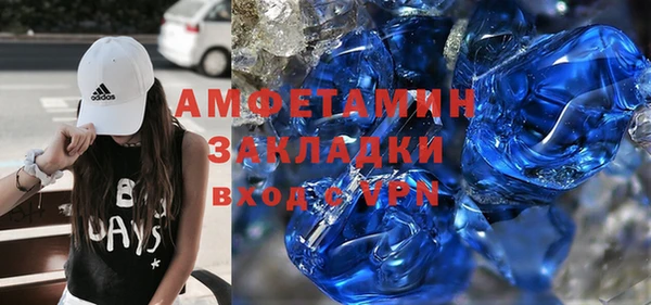 молекула духа Богданович