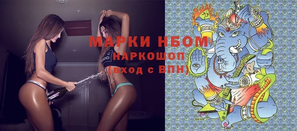 молекула духа Богданович