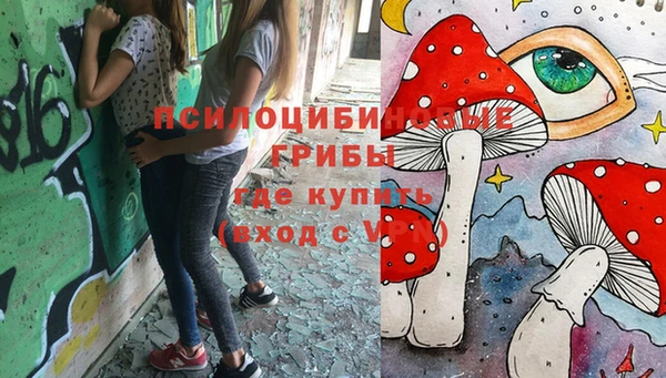 молекула духа Богданович