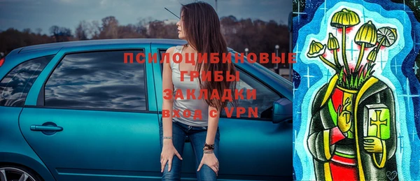 молекула духа Богданович