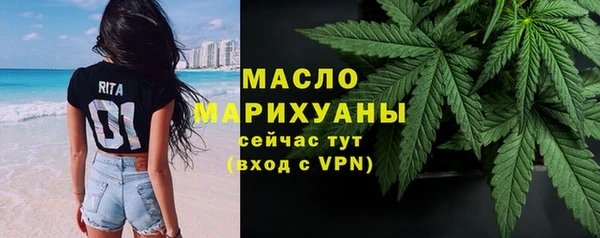 молекула духа Богданович