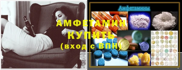 молекула духа Богданович