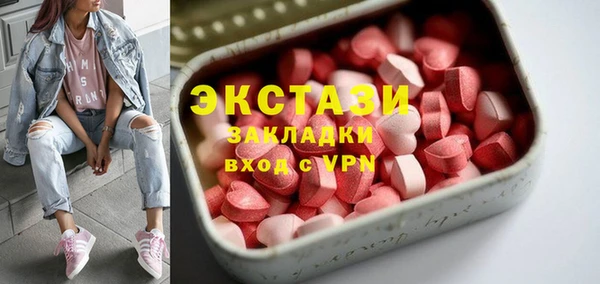молекула духа Богданович